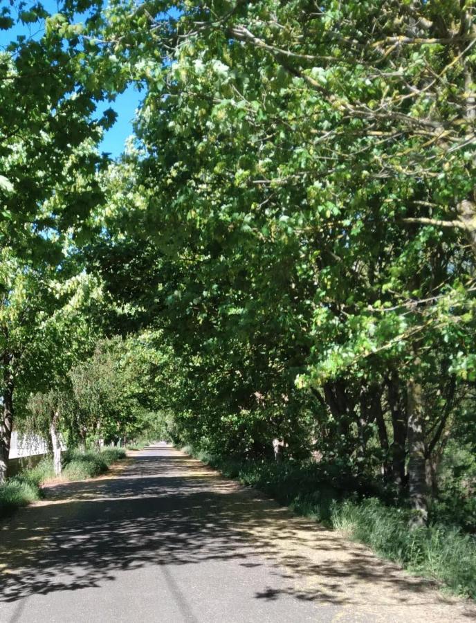 Atico Rosita En Camino De Santiago Lägenhet Xinzo de Limia Exteriör bild