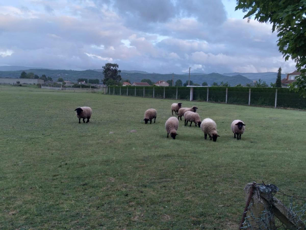 Atico Rosita En Camino De Santiago Lägenhet Xinzo de Limia Exteriör bild