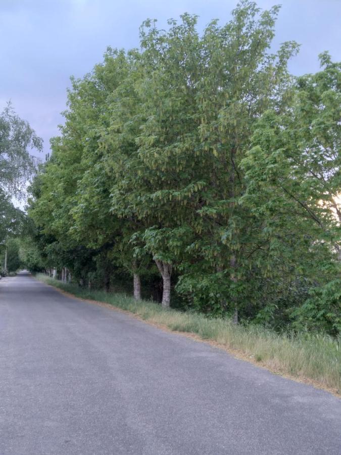 Atico Rosita En Camino De Santiago Lägenhet Xinzo de Limia Exteriör bild